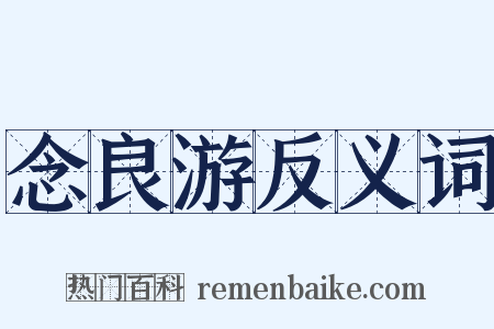 念良游反义词是什么意思的图片